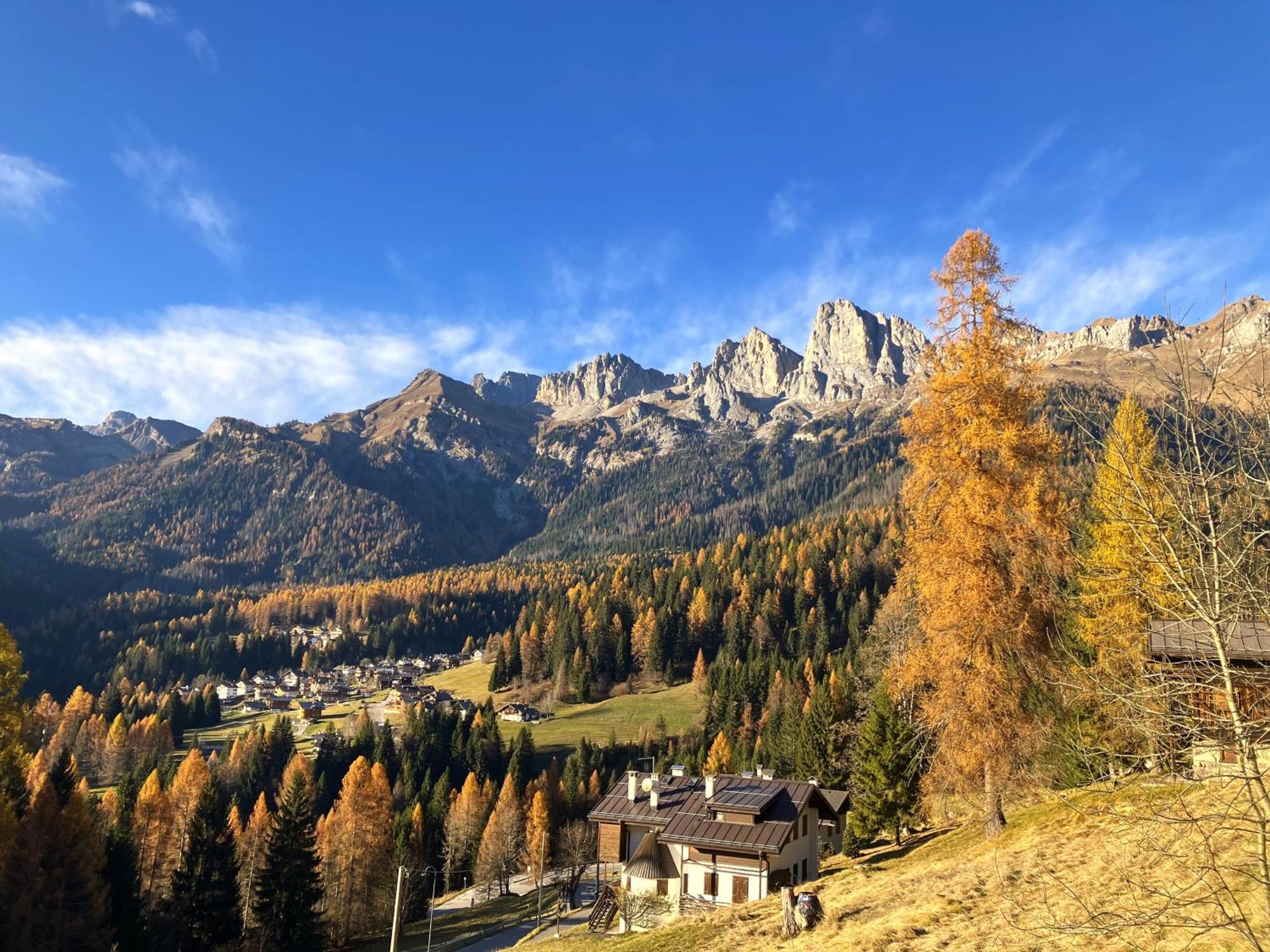 Appartamento Dolomiti Dream 1 Falcade Εξωτερικό φωτογραφία